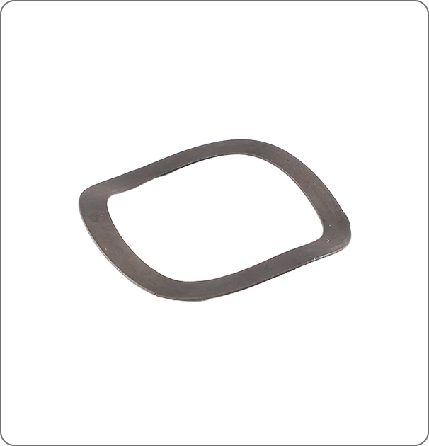 Bearing Wave Washer