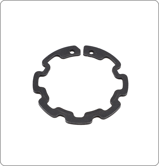 S Type Dual Snapring