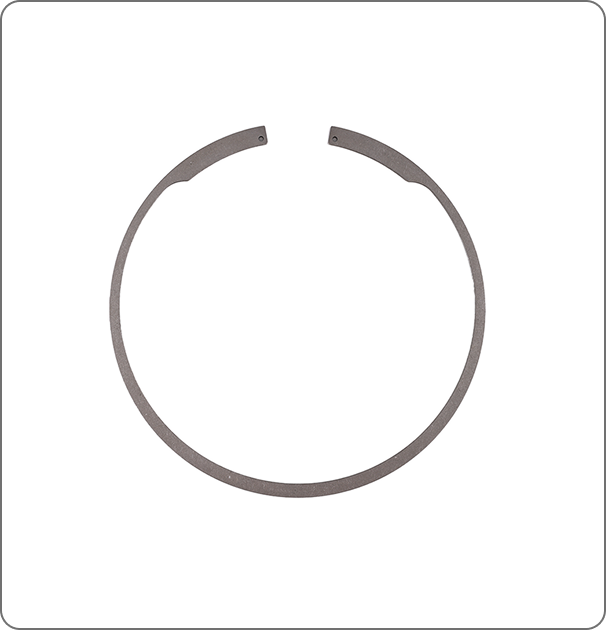 R-type Special Snapring